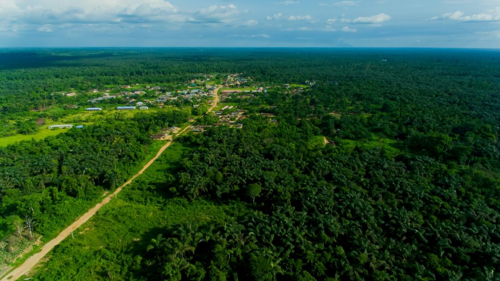 forest protection clean energy nigeria edo state environment 2026