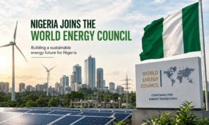 olar panels and power infrastructure representing Nigeria's new World Energy Council membership and its potential impact on housing