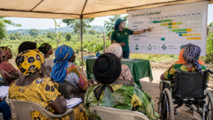 Group of women farmers attending a climate education training session in Doma, Nasarawa State